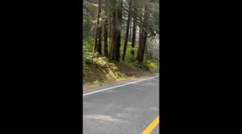 RV Roadside Fire in the Umpqua National Forest