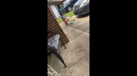 Stop, Drop, And Roll Toy Fail