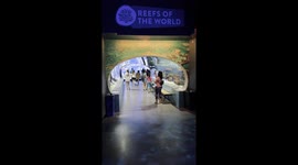 Odysea Aquarium in Scottsdale, Phoenix Arizona. Marine theme park underwater adventure and life in the ocean SEA LIFE, OdySea.