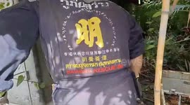 Rescue team save stray dog with head jammed inside metal bucket
