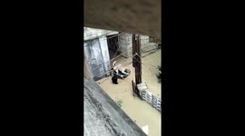 Residents use plastic tub to rescue dog from floods in the Philippines