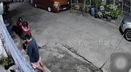 Delighted pet dog cuddles drunk owner returning home