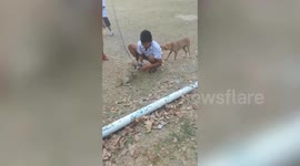 Kind schoolboy helps free puppy tangled in football goal net