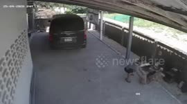 Mother kicks and blocks rat from entering home
