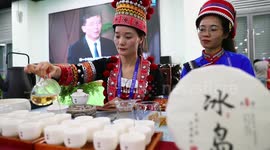 South Asia Tea Festival held at China-South Asia Expo