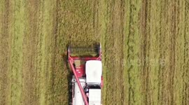 China uses AI technology for more accurate forecast of extreme weather