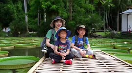 Vlog: Impressions of Yunnan at China-South Asia Expo