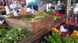 Extreme weather to cost Italian farmers 6.5 bln USD this year: report