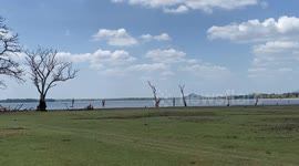 Dry season says to come to see elephant gathering in Sri Lanka hundreds elephants are coming to the lake sites