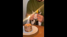 Combat Kitty's First Birthday