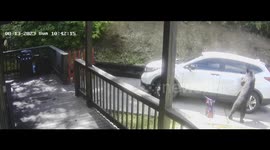 Hungry Bear Opens Car Door for Snacks