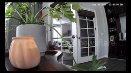 US: M5.1 Quake Strikes Ojai Area In Ventura County, CA