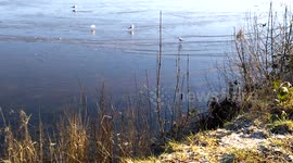 Frozen lake