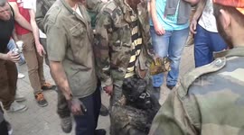 French villagers fight man dressed as bear during festival