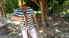 Man walks on broken glass while holding five snakes in his mouth