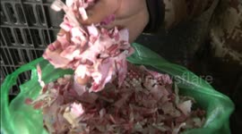 Man shreds thousands of dollars by mistake