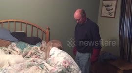 Pet raccoon jumps on owner's back