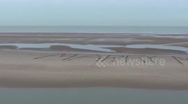 leap year proposal 29th february