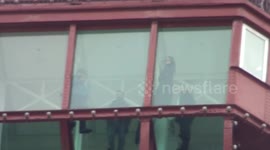 leap year proposal 29th febraury clip 2