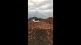 Dogs are the most graceful animals FUNNY FAIL