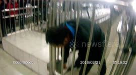 Man runs into fence in train station, gets head stuck