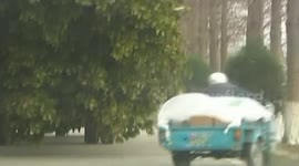 Lorry carrying a tree brushes tricycle, sending it into a river