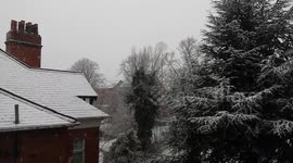 Snow Falling - Headingley Stadium in Background