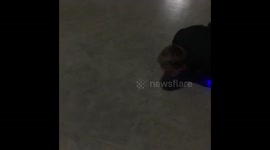 Hoverboard Crash whilst lying down (Broken monitors and consoles)