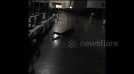 Hilarious hoverboard crash