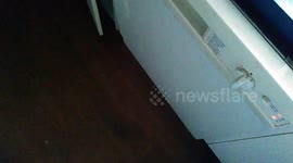 This dishwasher sounds exactly like the T-Rex from Jurassic Park