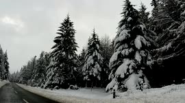 Spring in the mountains