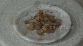 Homemade Cold and Flu Remedy