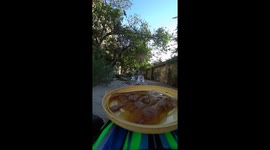 Pet owner uses remote control car to feed his cat