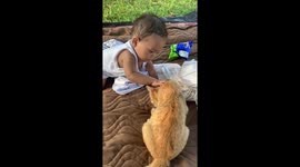 Cute baby girl plays with pet cat
