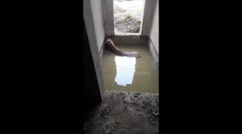 Horse rescued after falling into septic tank in central India