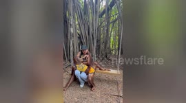 Cheeky orangutan climbs all over tourist and gives her a kiss