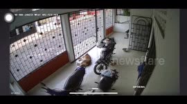 Cat Topples Motorbike Onto Dog