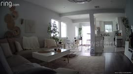 Chaos as handyman crashes through homeowner's ceiling in Los Angeles