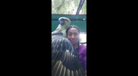 A Handsome Bird Ready For Eligible Ladies