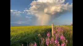 The Perfect Storm
