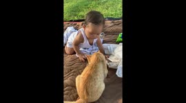 Cute cat (test, direct upload from desktop, not MRSS, viralpress encode mp4)