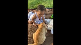 Cute cat (original from smartphone device, mov)