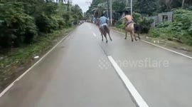 Filipino locals have gypsy-style road race with their horses