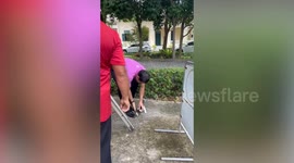 Kind worker rescues pet cat stranded in tree