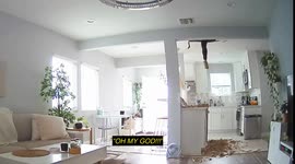 Post-storm inspection in LA home takes a painful turn: Handyman's unexpected attic ordeal