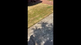 The Neighborhood Watch