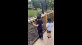Kids Learn A Fact Of Life At The Zoo