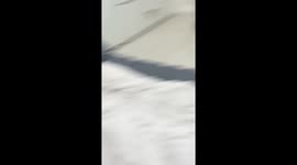 Startled Cat Startles Owner