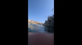 Dog Dives For Bone
