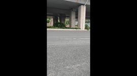 Chinese Elderly Farmer's Ingenious Balance in a Unique Transport Mode